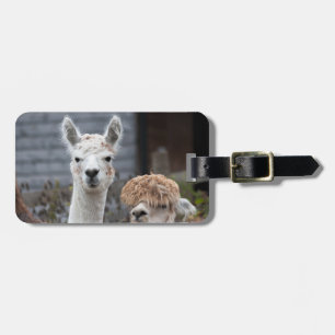 Alpacas Luggage Tag