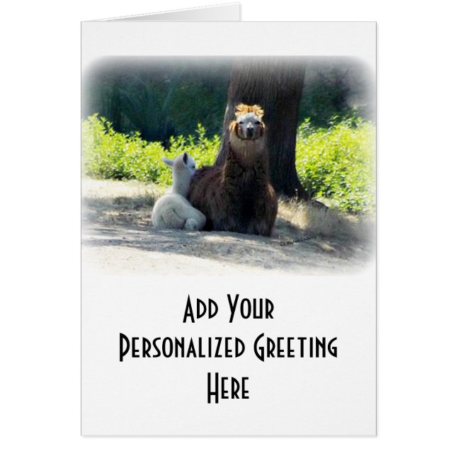 Alpacas - Mom & Baby (Front)