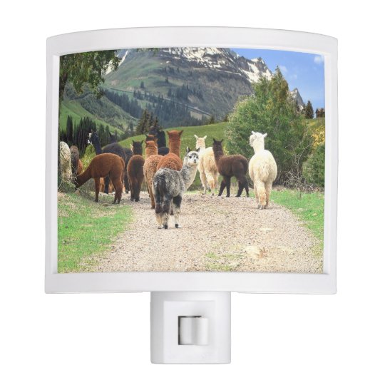 Alpacas Night Light