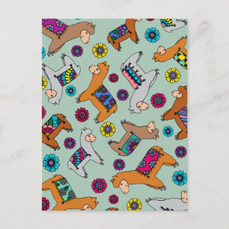 Alpacas Postcard