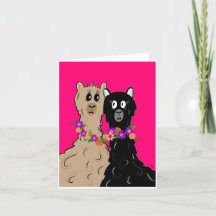 Alpaca's with flower necklace