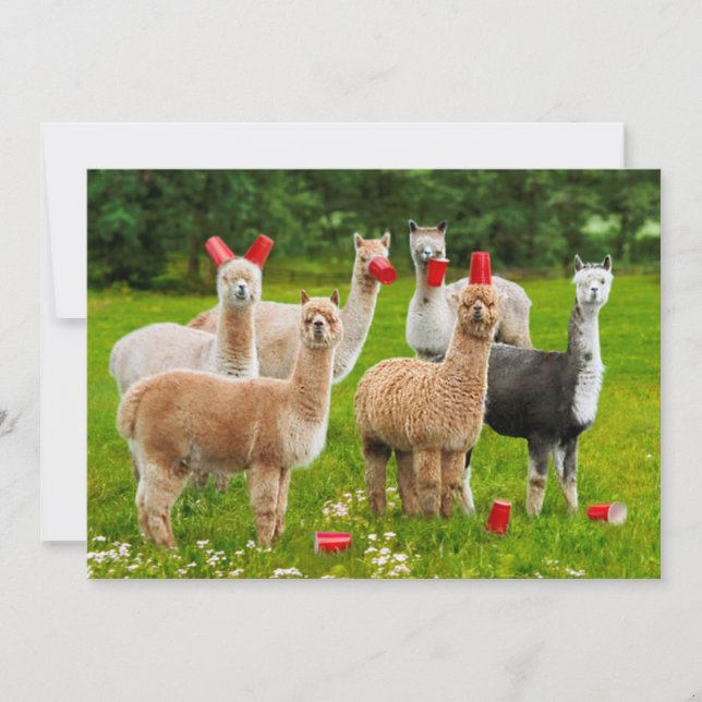 Alpacas With Red Cups Invitation (Front)