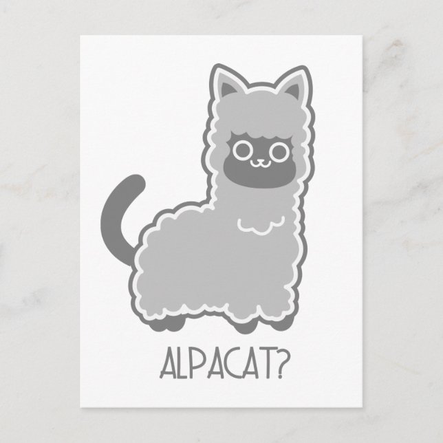 Alpacat? Postcard (Front)