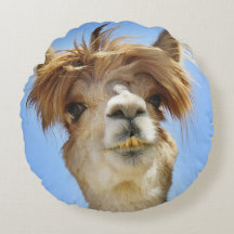 Alpaga avec le coussin fou de cheveux