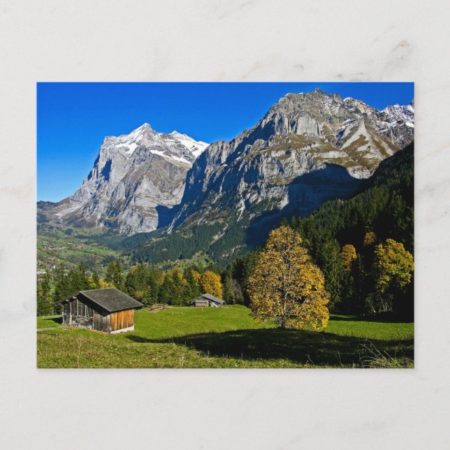 Alpes, Suisse - Carte postale (Devant)