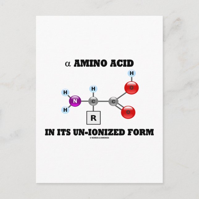 alpha Amino Acid In Its Un-Ionized Form (Molecule) Postcard (Front)