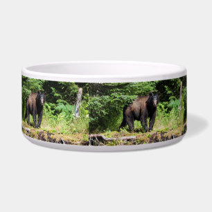Alpha Black Bear