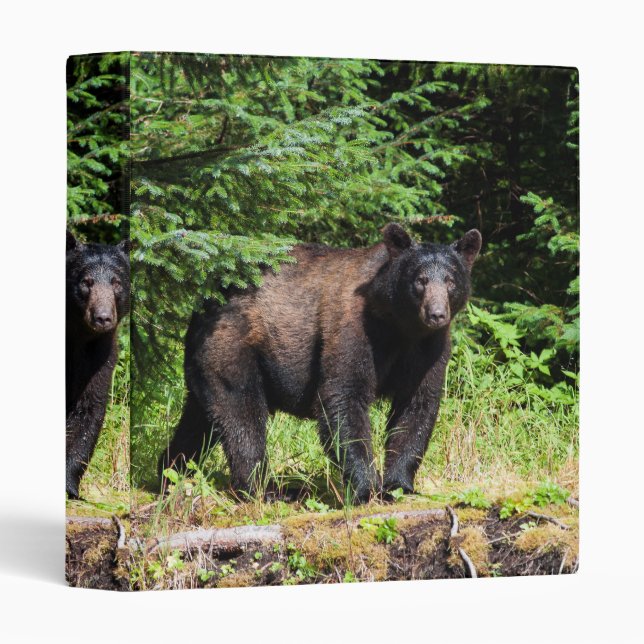 Alpha Black Bear Binder (Front/Spine)