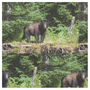 Alpha Black Bear Fabric