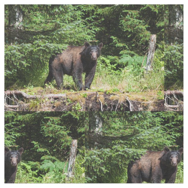 Alpha Black Bear Fabric (Close Up)