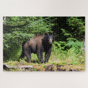 Alpha Black Bear Jigsaw Puzzle