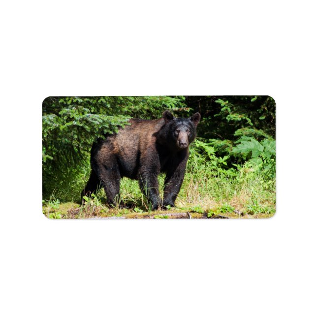 Alpha Black Bear Label (Front)