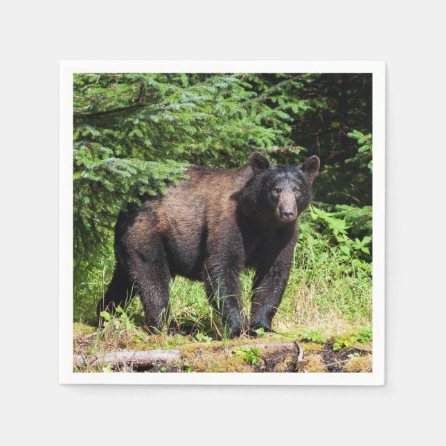 Alpha Black Bear Napkin (Front)