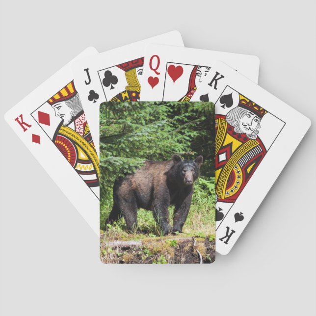 Alpha Black Bear Playing Cards (Back)