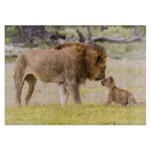 Alpha male lion inspects cub cutting board