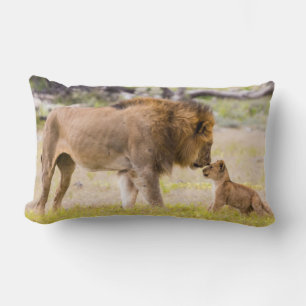 Alpha male lion inspects cub lumbar pillow