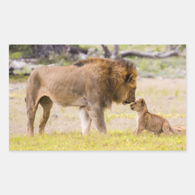 Alpha male lion inspects cub sticker (Front)