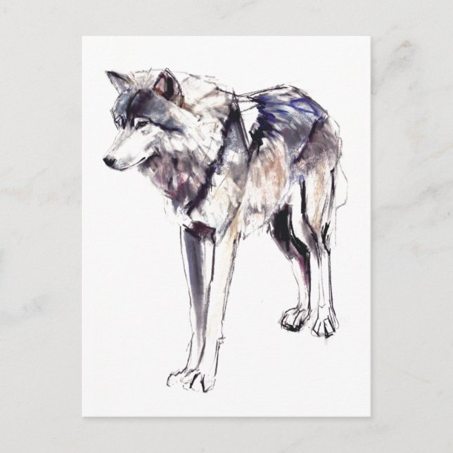 Alpha Postcard (Front)