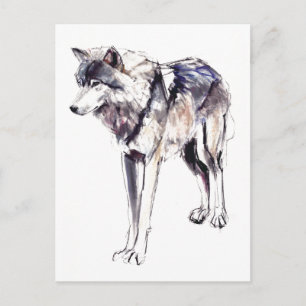 Alpha Postcard