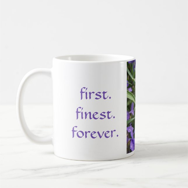 Alpha tasse de violettes du delta pi (Gauche)