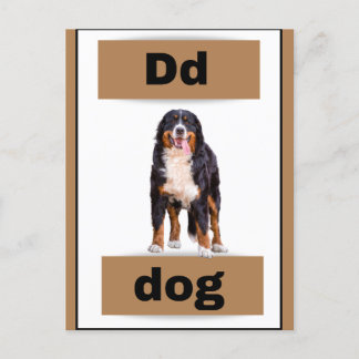 alphabet card(with real picture)Holiday Postcard