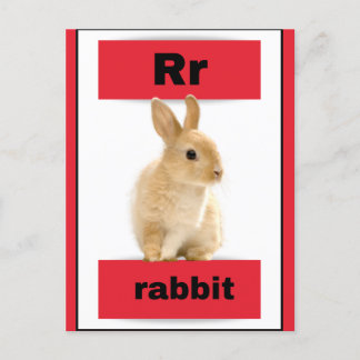 alphabet card(with real picture) holiday postcard