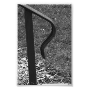 Alphabet Letter R1 Black and White 4x6 Photo Print