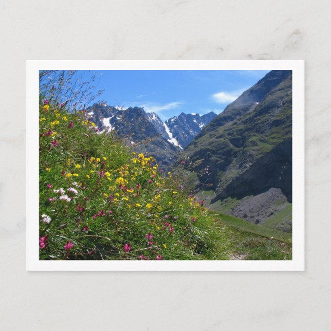 Alpine Beauty Postcard (Front)