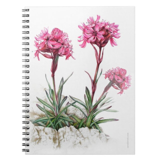 Alpine catchfly watercolor fine art notebook (Front)