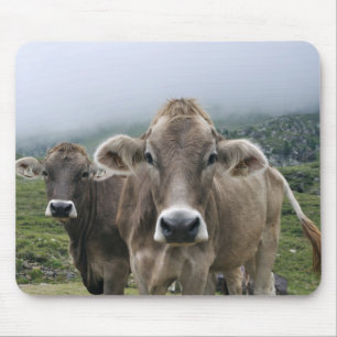 Alpine cows mouse pad