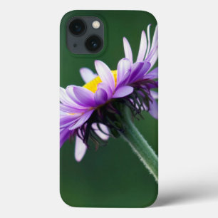 Alpine Daisy iPhone 13 Case