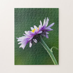 Alpine Daisy Jigsaw Puzzle
