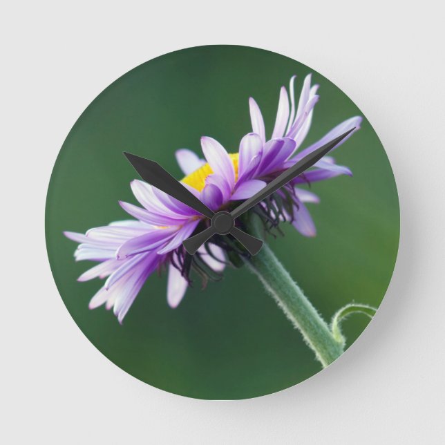 Alpine Daisy Round Clock (Front)