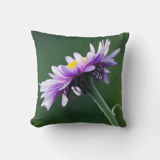 Alpine Daisy Throw Pillow (Front)