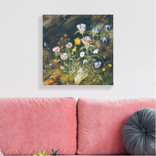 Alpine Flora   Theodor Petter Canvas Print
