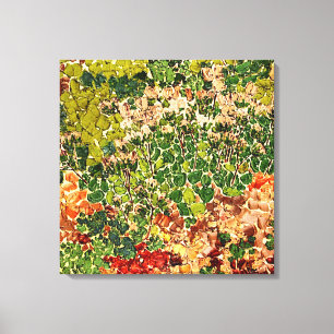 Alpine Flowers Canvas Print