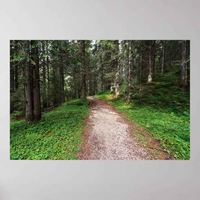 alpine forest poster (Front)