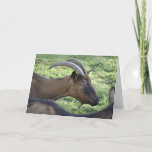 Alpine goat note card