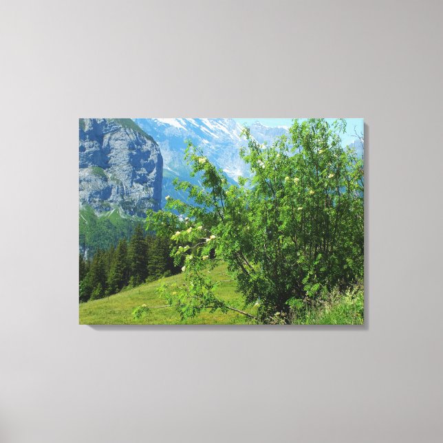 Alpine landscape in Switzerland Canvas Print (Front)