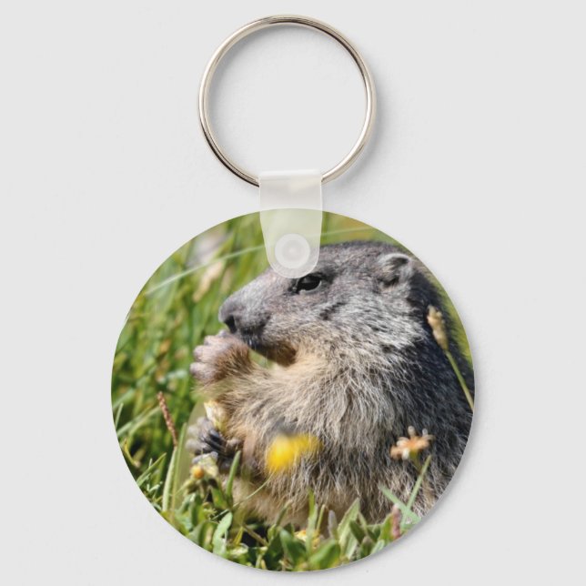 Alpine marmot eating flower keychain (Front)