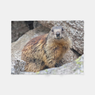 Alpine Marmot Fleece Blanket