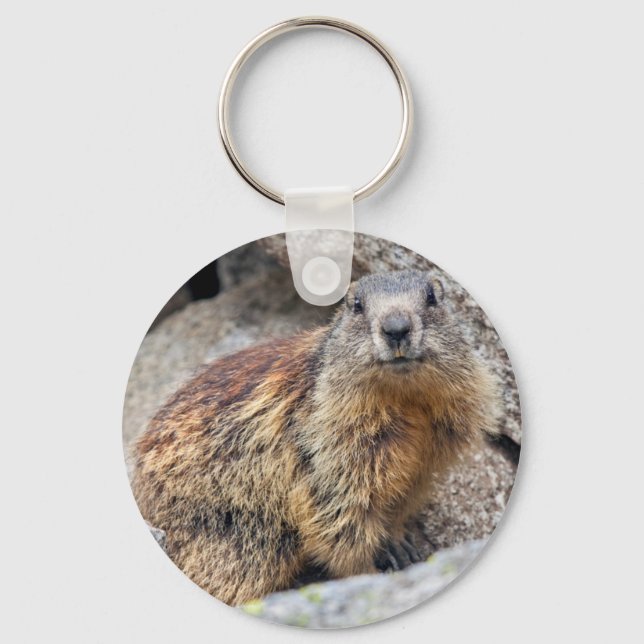 Alpine Marmot Keyring (Front)
