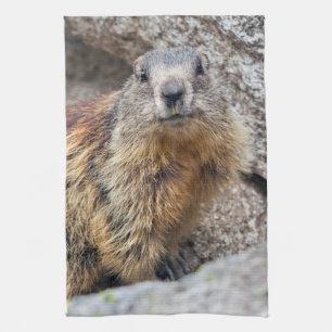 Alpine Marmot Kitchen Towel