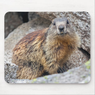 Alpine Marmot Mousemat Mouse Pad