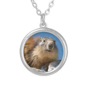 Alpine marmot on rock silver plated necklace