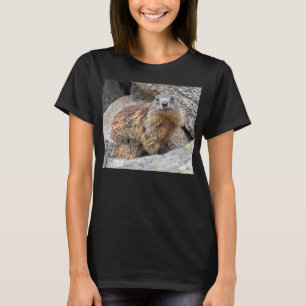 Alpine Marmot Tee