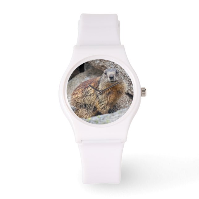 Alpine Marmot Watch (Front)