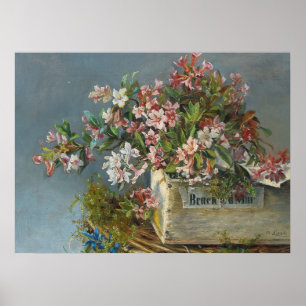 Alpine Roses in a Window Box – Andreas Lach Poster