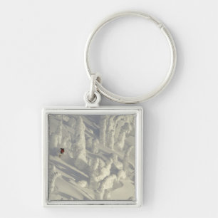 Alpine Skier in thick snowghosts at Big Keychain