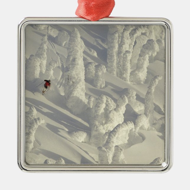Alpine Skier in thick snowghosts at Big Metal Ornament (Front)